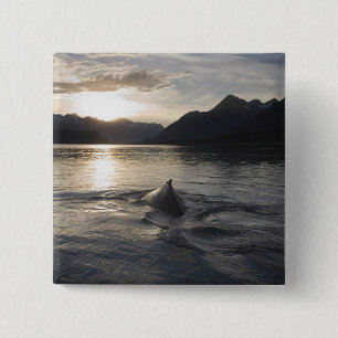USA, Alaska, Glacier Bay National Park, Knapp