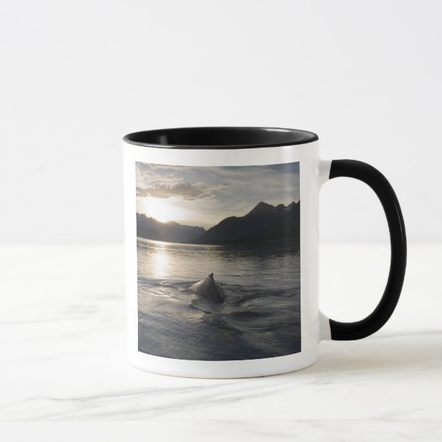 USA, Alaska, Glacier Bay National Park, Mugg (Höger)