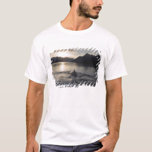 USA, Alaska, Glacier Bay National Park, Tee Shirt