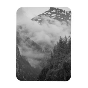 USA, Alaska, Juneau, Regnskog täcker fjordar i Magnet
