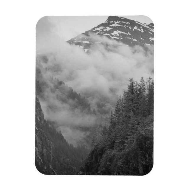 USA, Alaska, Juneau, Regnskog täcker fjordar i Magnet (Vertikal)