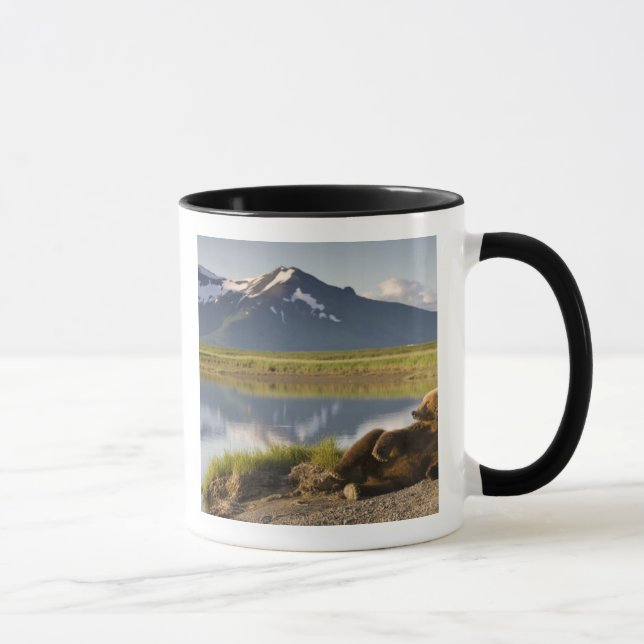USA, Alaska, Katmai National Park, Brown Bears Mugg (Höger)