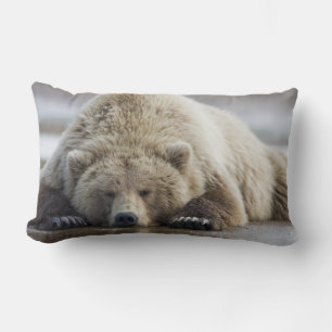 USA, Alaska, Katmai National Park, Brunbjörn Lumbarkudde