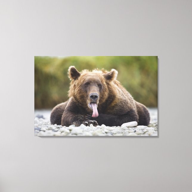 USA, Alaska, Katmai National Park, Kukak Bay, Canvastryck (Framsida)