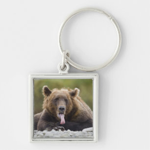 USA, Alaska, Katmai National Park, Kukak Bay, Fyrkantig Silverfärgad Nyckelring