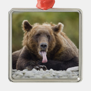 USA, Alaska, Katmai National Park, Kukak Bay, Julgransprydnad Metall