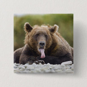 USA, Alaska, Katmai National Park, Kukak Bay, Knapp