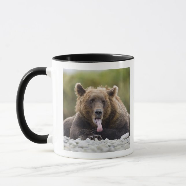 USA, Alaska, Katmai National Park, Kukak Bay, Mugg (Vänster)