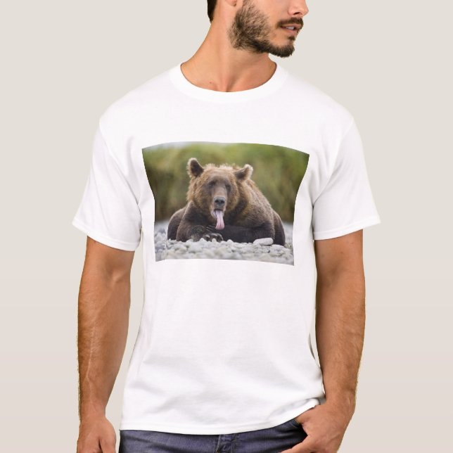 USA, Alaska, Katmai National Park, Kukak Bay, T-shirt (Framsida)