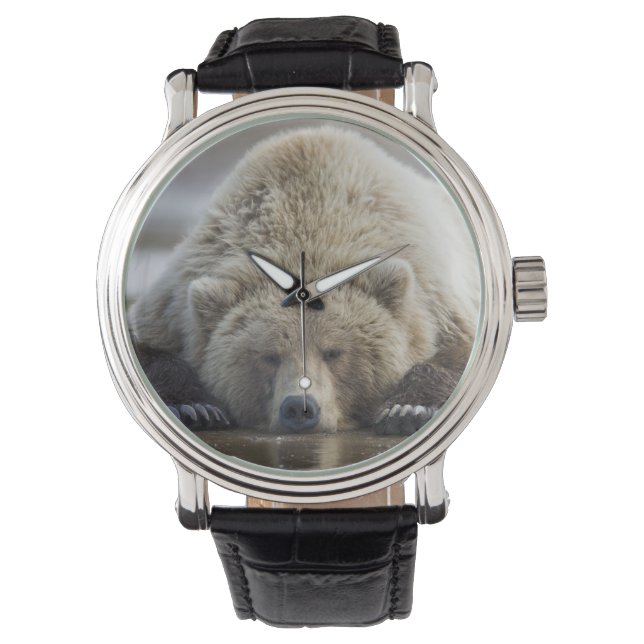 USA, Alaska, Katmai Nationalpark, Brunbjörn Armbandsur (Framsida)