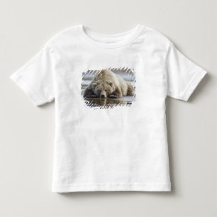 USA, Alaska, Katmai Nationalpark, Brunbjörn T Shirt