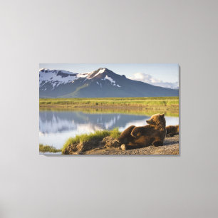 USA, Alaska, Katmai Nationalpark, Brunbjörnar Canvastryck