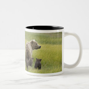 USA, Alaska, Lake Clark nationalpark. Grizzly Två-Tonad Mugg