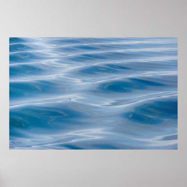 USA, Alaska | Närmare uppgifter om sjökummel Poster (Framsidan)