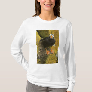 USA, Alaska, Pribiloföarna, St Paul. Tofs Tee Shirt