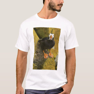 USA, Alaska, Pribiloföarna, St Paul. Tofsad T-shirt
