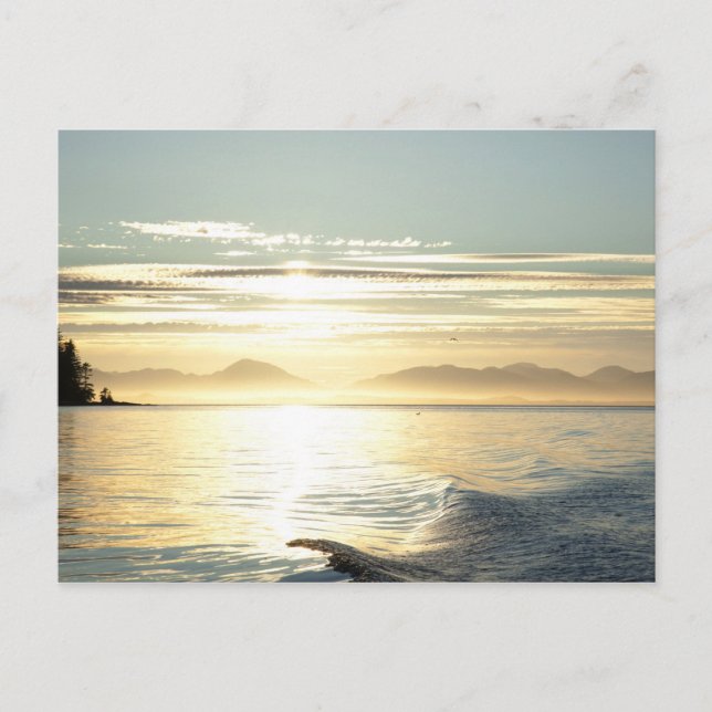 USA, Alaska, Southeast nära Ketchikan, sunset. Vykort (Framsida)