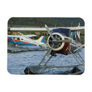 USA, ALASKA, Sydöstra Alaska, KETCHIKAN: Magnet