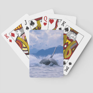 USA, Alaska, Tongass National Forest, puckelval Spel Kort