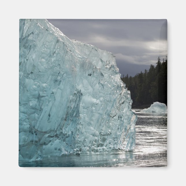USA, Alaska, Tongass National Forest, Tracy 2 Magnet (Framsidan)