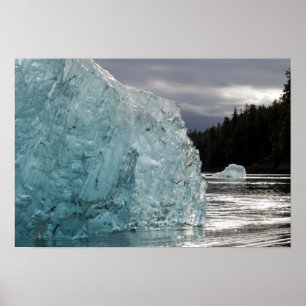 USA, Alaska, Tongass National Forest, Tracy 2 Poster
