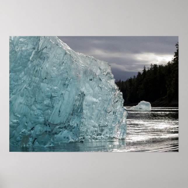 USA, Alaska, Tongass National Forest, Tracy 2 Poster (Framsidan)