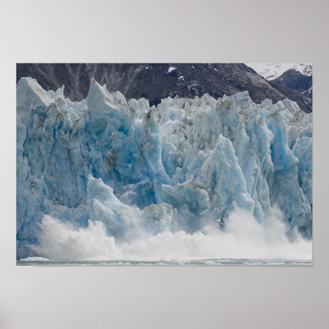 USA, Alaska, Tongass National Forest, Tracy Poster (Framsidan)