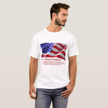 USA Allegiance Man's Tshirt