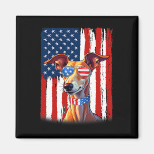 Usa America Flagga Italiensk Mops Hund 4:e Juli Magnet
