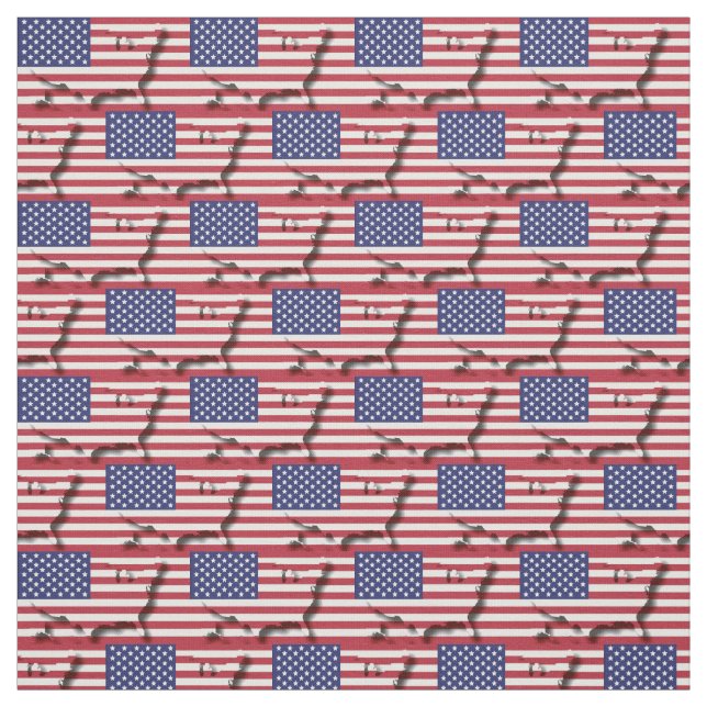 USA AMERICA Flagga Karta Outline Tyg (Provkarta)