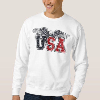 USA - American Eagle Varsity Stil Classic Vintage Lång Ärmad Tröja