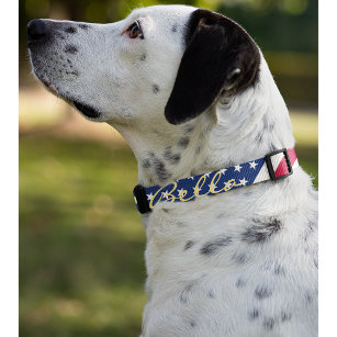 USA American Flagga Stars Rand Hund Puppy Namn Halsband Husdjur
