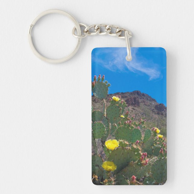 USA, Arizona. Cactus in the Backe (Framsidan)