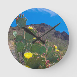 USA, Arizona. Cactus in the Backe Rund Klocka