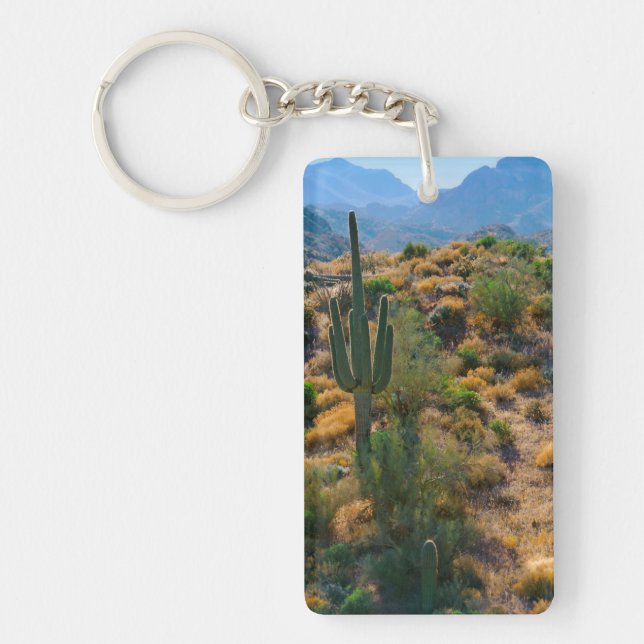 USA, Arizona. Desert View (Framsidan)