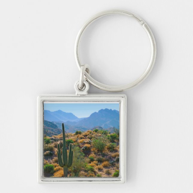USA, Arizona. Desert View Fyrkantig Silverfärgad Nyckelring (Framsidan)
