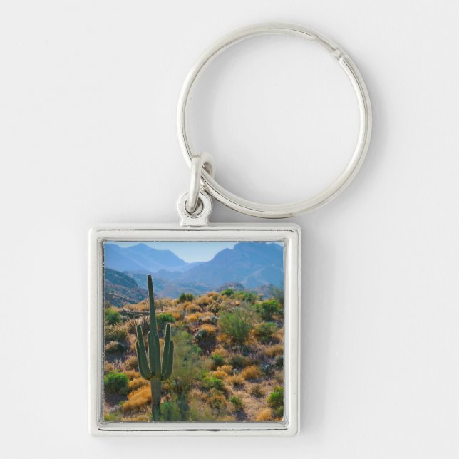 USA, Arizona. Desert View Fyrkantig Silverfärgad Nyckelring (Framsidan)