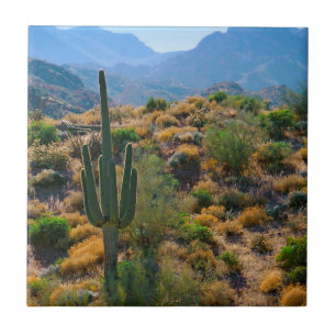 USA, Arizona. Desert View Kakelplatta