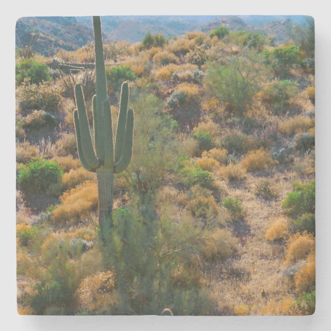 USA, Arizona. Desert View Stenunderlägg (Framsidan)