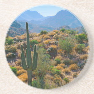 USA, Arizona. Desert View Underlägg