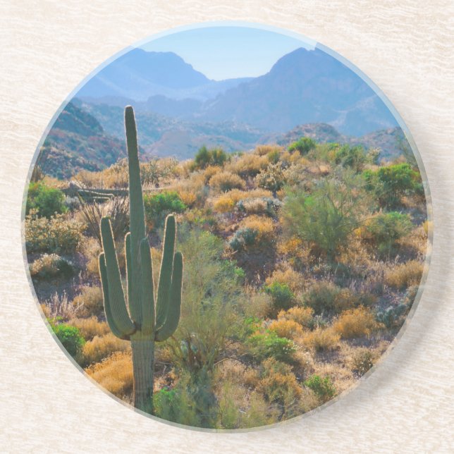 USA, Arizona. Desert View Underlägg (Framsidan)