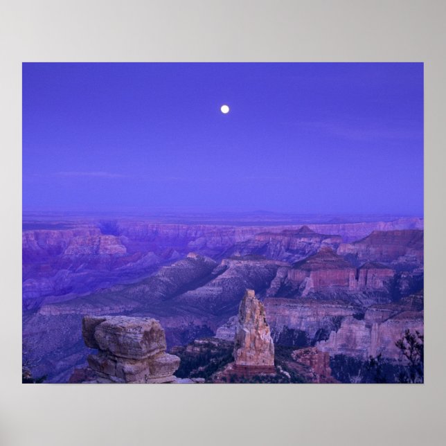 USA, Arizona, Grand Canyon National Park. Poster (Framsidan)