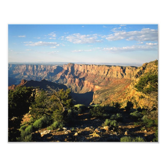 USA, Arizona, Grand Canyon National Park, Utsikt Fototryck (Framsidan)