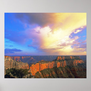 USA, Arizona, Grand Canyon National Park. Utsikt Poster