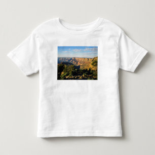 USA, Arizona, Grand Canyon National Park, Utsikt Tee