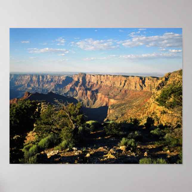 USA, Arizona, Grand Canyon National Park, View Poster (Framsidan)