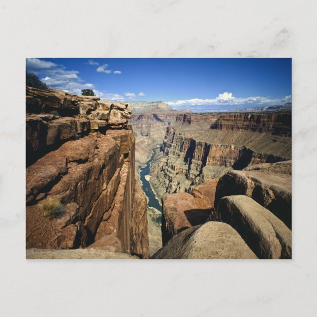USA, Arizona, Grand Canyon National Park Vykort (Framsida)