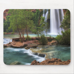 USA, Arizona, Havasu Canyon. Den fridfull Musmatta