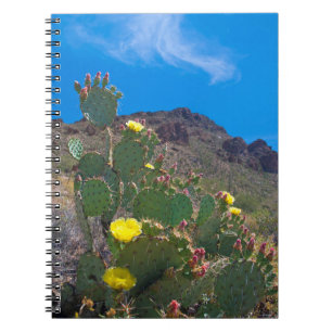 USA, Arizona. Kaktus i kullarna Anteckningsbok