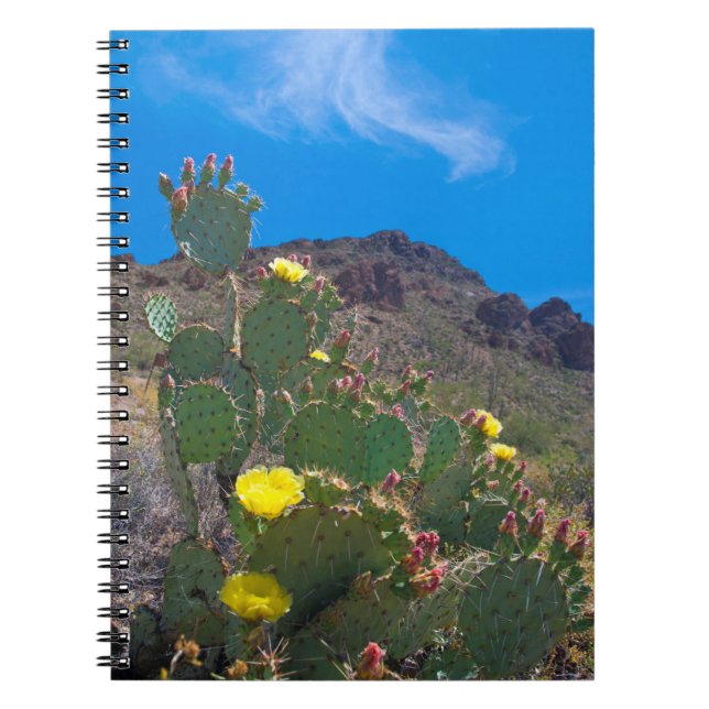 USA, Arizona. Kaktus i kullarna Anteckningsbok (Framsidan)